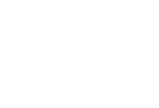 Don Diego