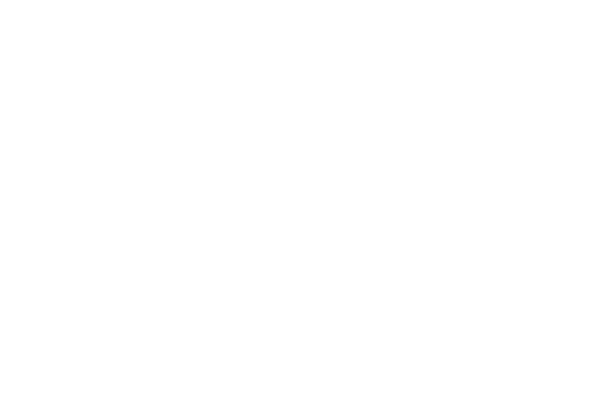 Saint Luis Rey