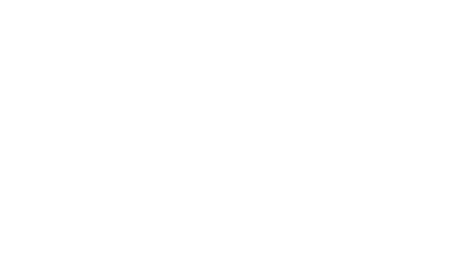 VegaFina