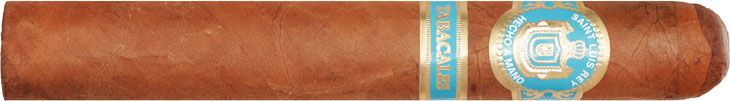Saint Luis Rey Toro